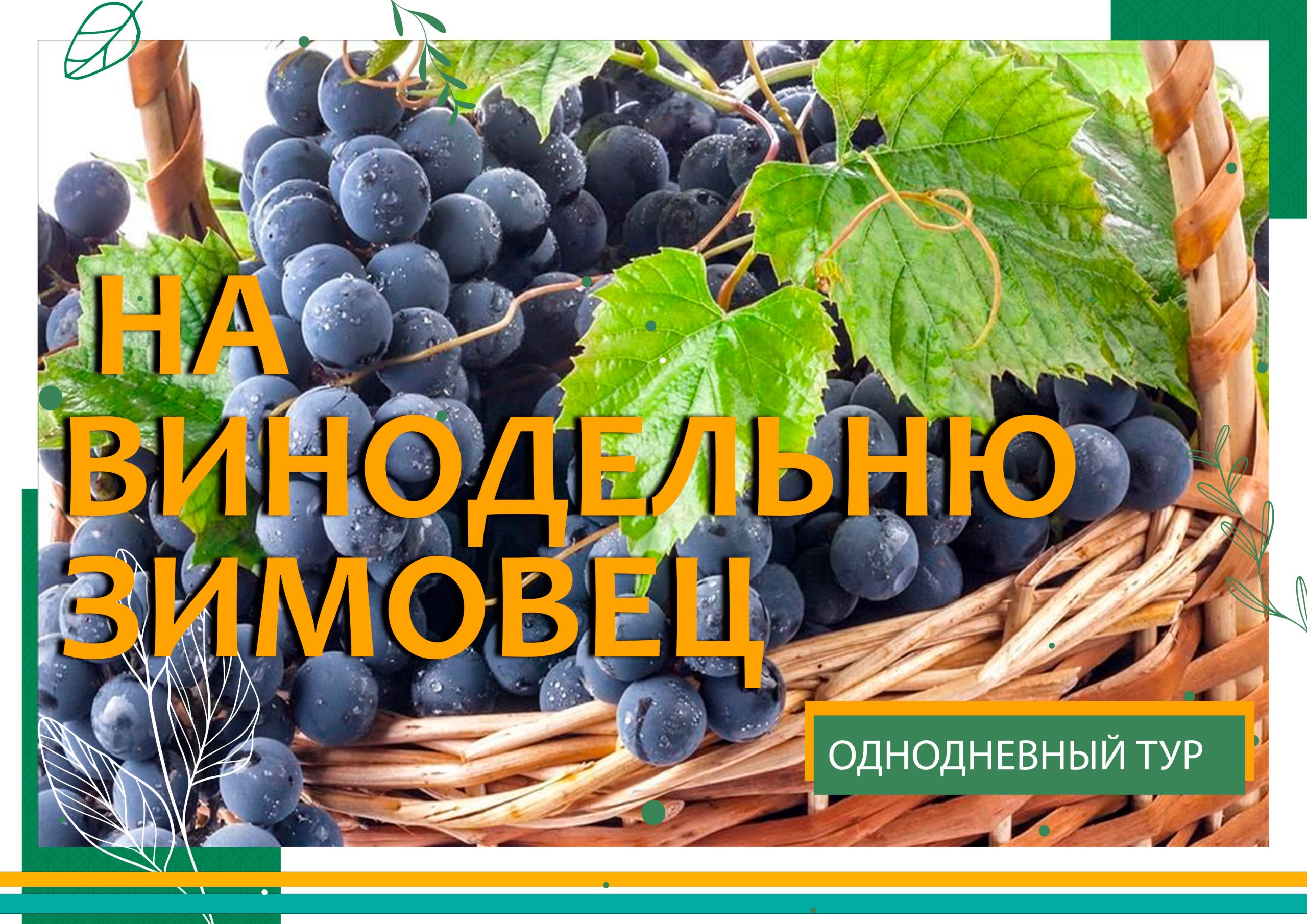 зимовец зимовец